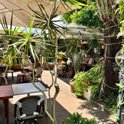 WhatsApp Image 2022-11-16 at 14.44.53